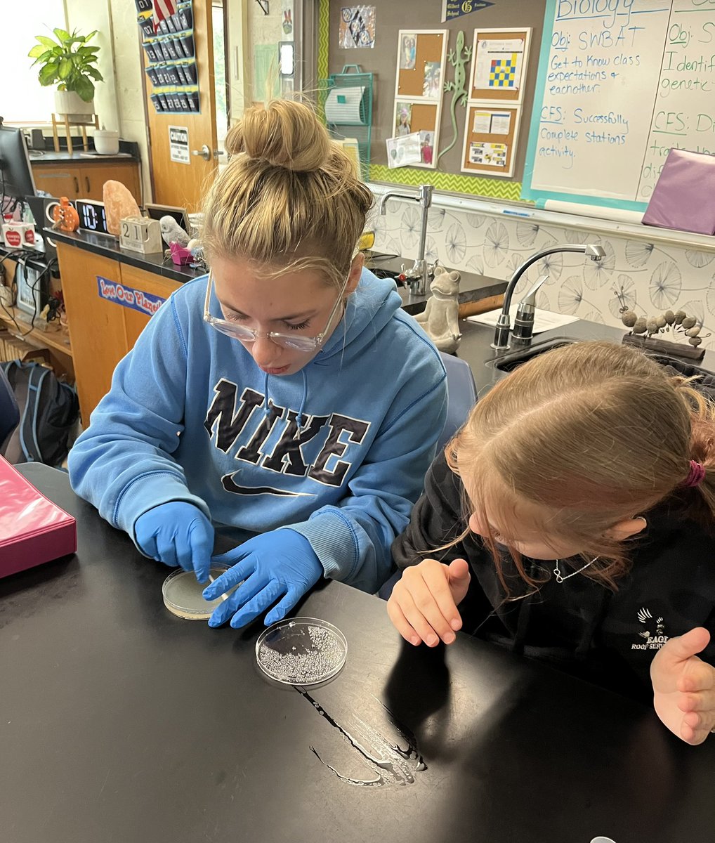 Melissa Bryant tweet media