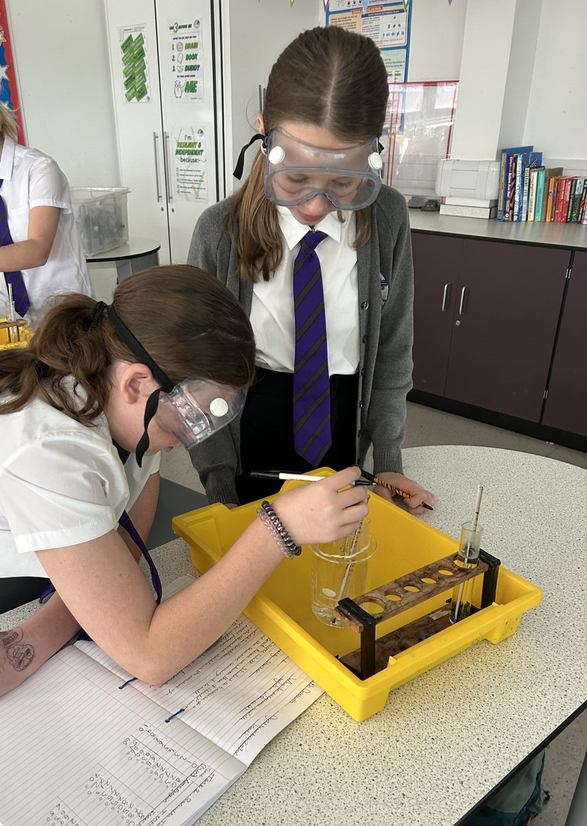 CCYD_Science's tweet photo. Year 8 Scientists investigating how penguins stay warm in Antarctica this afternoon 🐧🧊🧪👨‍🔬
#HuddlingPenguins #CriticalThinkers #Science @CCYD_school https://t.co/VHQUMBOZI3