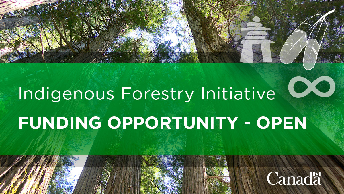 NRCan's tweet photo. We just launched a call for expressions of interest for the Indigenous Forestry Initiative to support Indigenous-identified priorities, awareness, influence, inclusion and leadership in the #ForestSector. 🌳🌲
Info: https://t.co/NI0Ftnm5Kf #NationalForestWeek https://t.co/9VX4IkBQMM