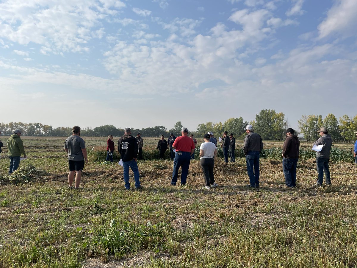 Union Forage (@unionforage) on Twitter photo Thanks to everyone who came out to our swath grazing field tour! We had so much fun talking all things forage. And big shoutout to our dealer <a href="/RealMitchMartel/">Mitchell Martel</a> for hosting and sharing his system! Thanks to everyone who came out to our swath grazing field tour! We had so much fun talking all things forage. And big shoutout to our dealer <a href="/RealMitchMartel/">Mitchell Martel</a> for hosting and sharing his system!
