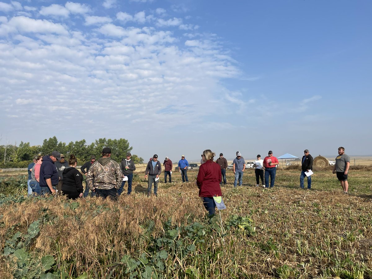 Union Forage tweet media