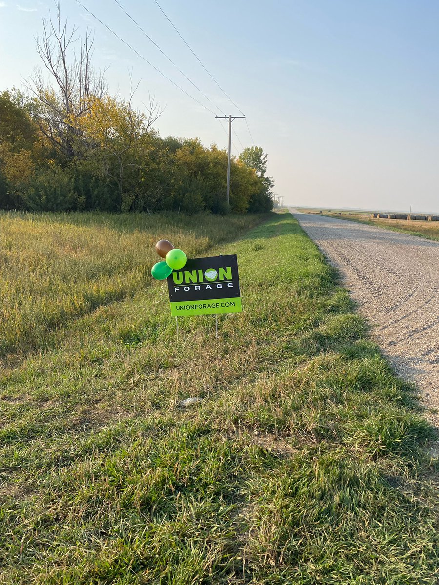 Union Forage tweet media