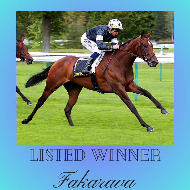 FAKARAVA (2F Le Havre ex Vespera) won her LR in fine style @LyonHippodromes today. Bred by Le Thenney and JD Daudier de Cassini - for whom we also trained her dam to place in a G3, this lovely filly was picked out by @MERIDIAN7 as a yearling at @InfoArqana from @La_Motteraye