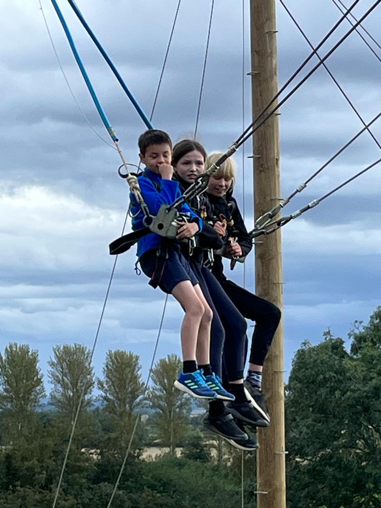 Wheatfields_'s tweet image. 