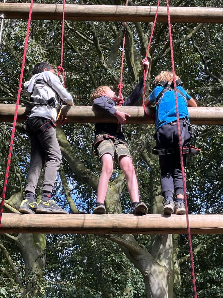 Wheatfields_'s tweet image. 