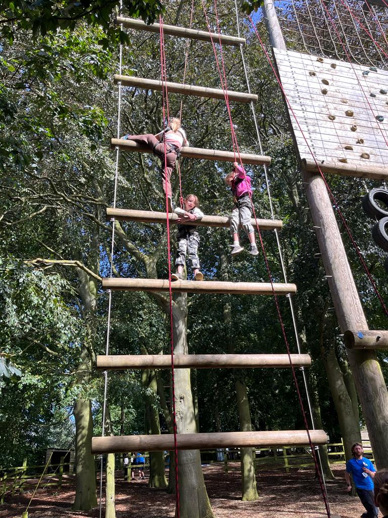 Wheatfields_'s tweet image. 