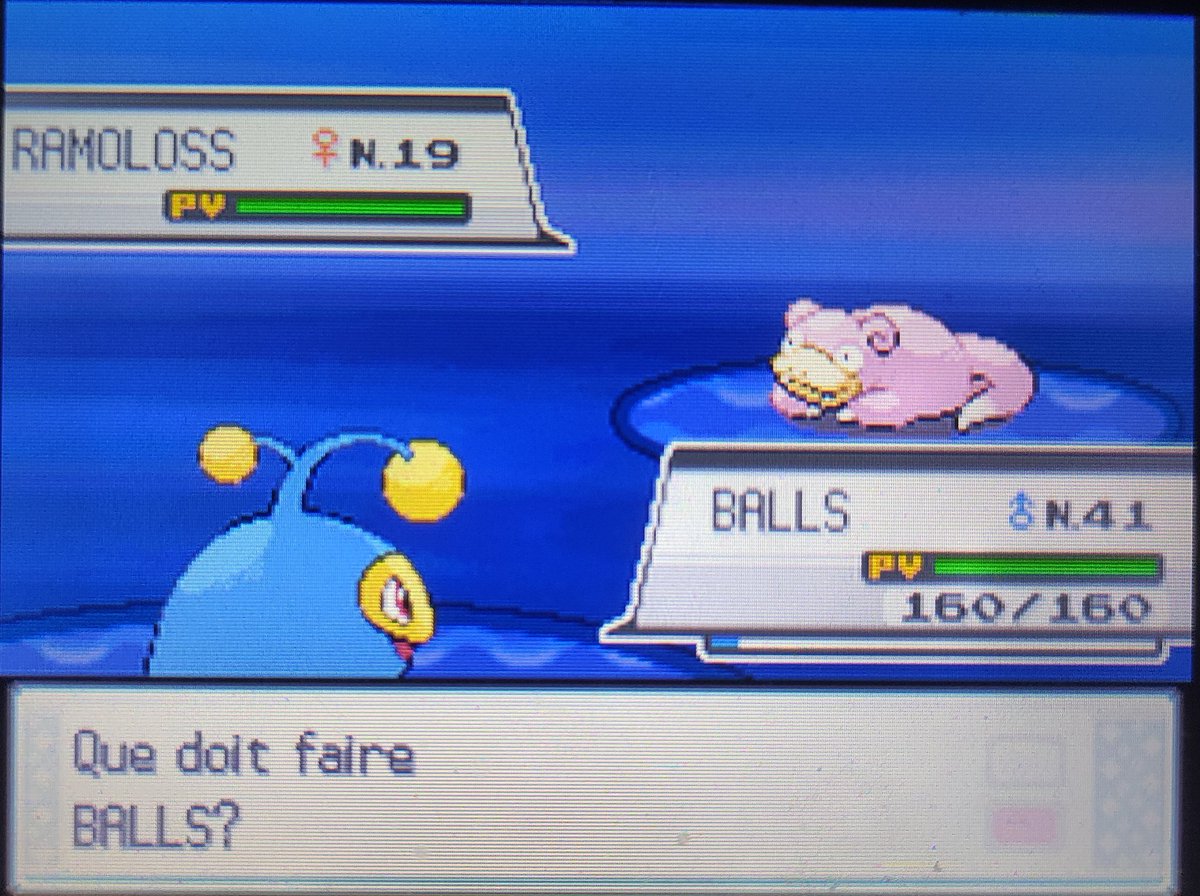 ArcozSH's tweet photo. Ramoloss shiny en 19798 rencontres au puit Ramoloss, Flagadoss est un shiny magnifique que je voulais depuis pas mal de temps ! https://t.co/bZhgKDRGh9