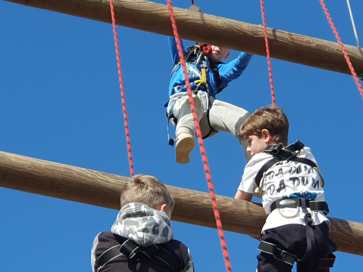 Wheatfields_'s tweet image. 