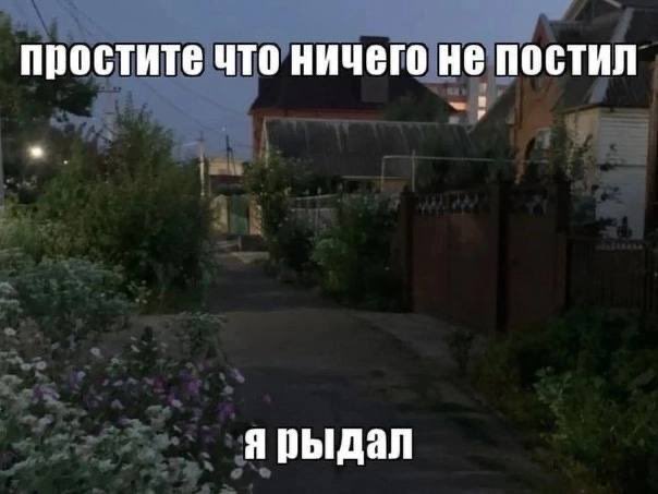 veta``🫧 tweet media