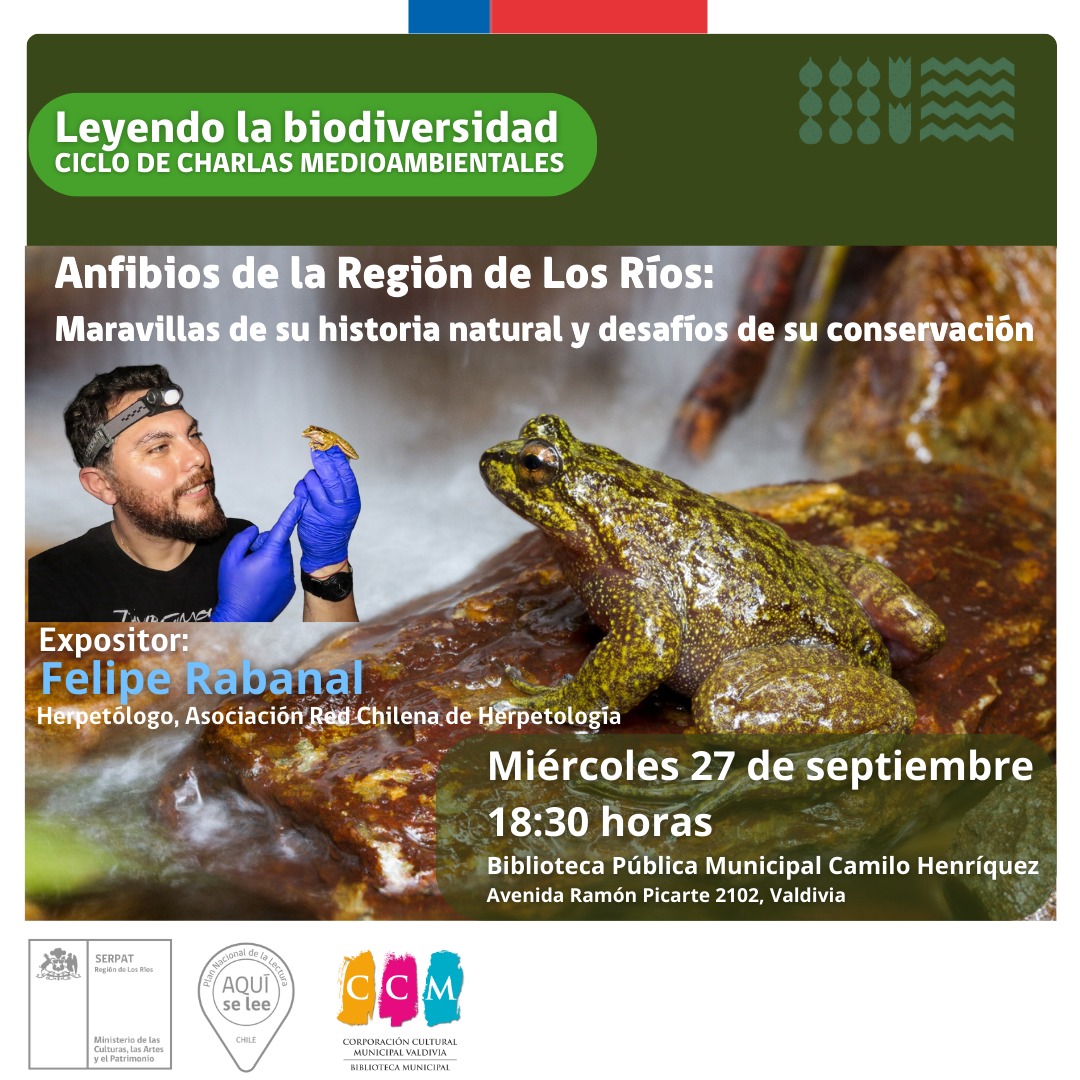 📚🐸Invitación a Charla 🐸🌿"Anfibios de la Región de Los Ríos, historia natural, desafíos y conservación", con Felipe Rabanal, Herpetólogo, Asoc. Red Chilena Herpetología <a href="/chilebosque/">Chilebosque</a>
📆Miérc. 27/09, 18:30hr. en la #Biblioteca #Valdiviacl de <a href="/ccmvaldivia/">CCM-Valdivia</a> (Picarte 2102)."