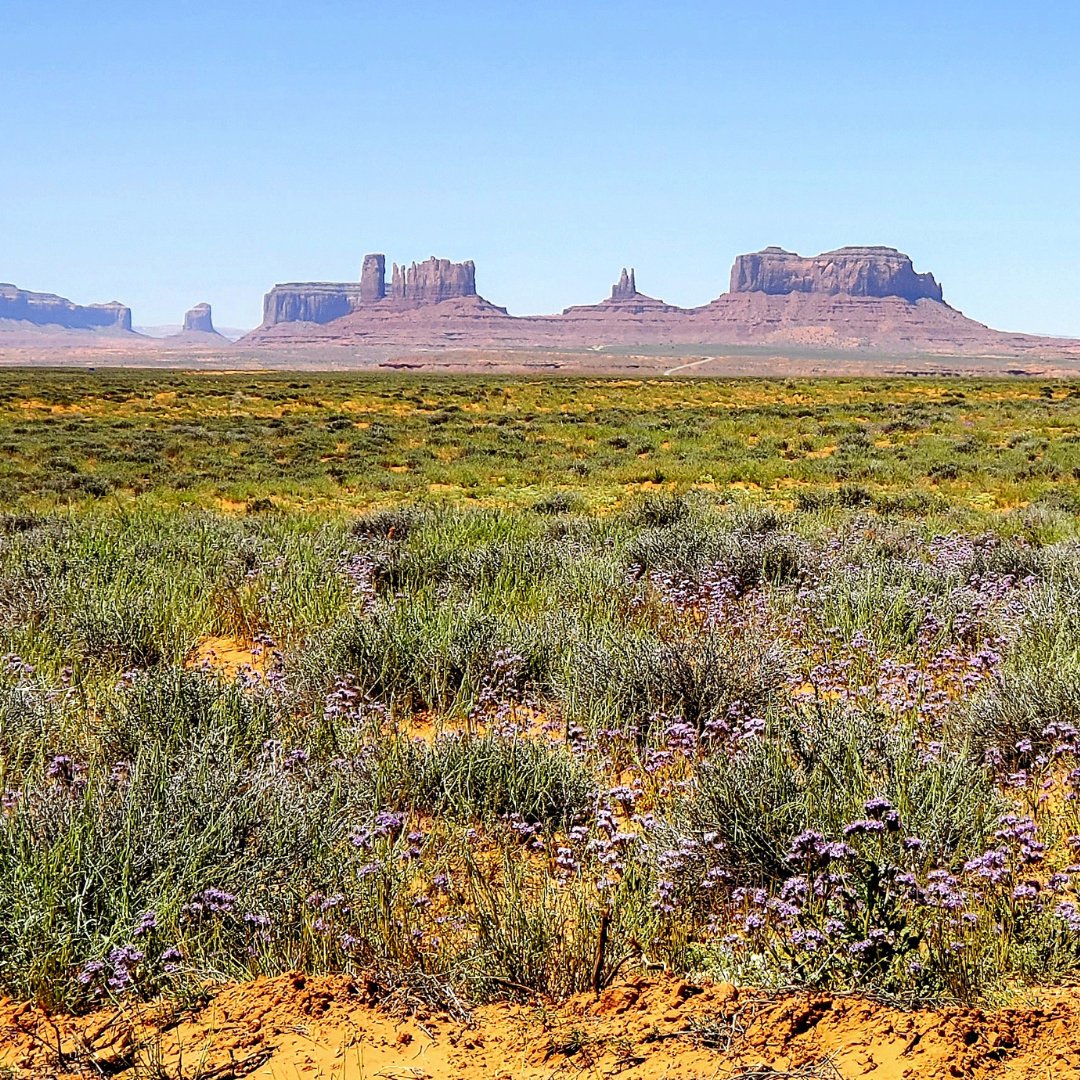 Today is #ZeroEmissionsDay and we are committed to doing our part to keep Arizona a beautiful place to live. That's why we've set a bold goal to provide 100% clean, carbon-free electricity to customers by 2050. Track our clean energy progress at aps.com/clean.