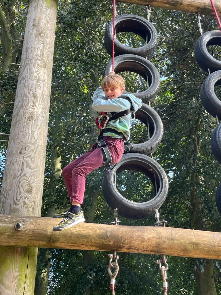 Wheatfields_'s tweet image. 