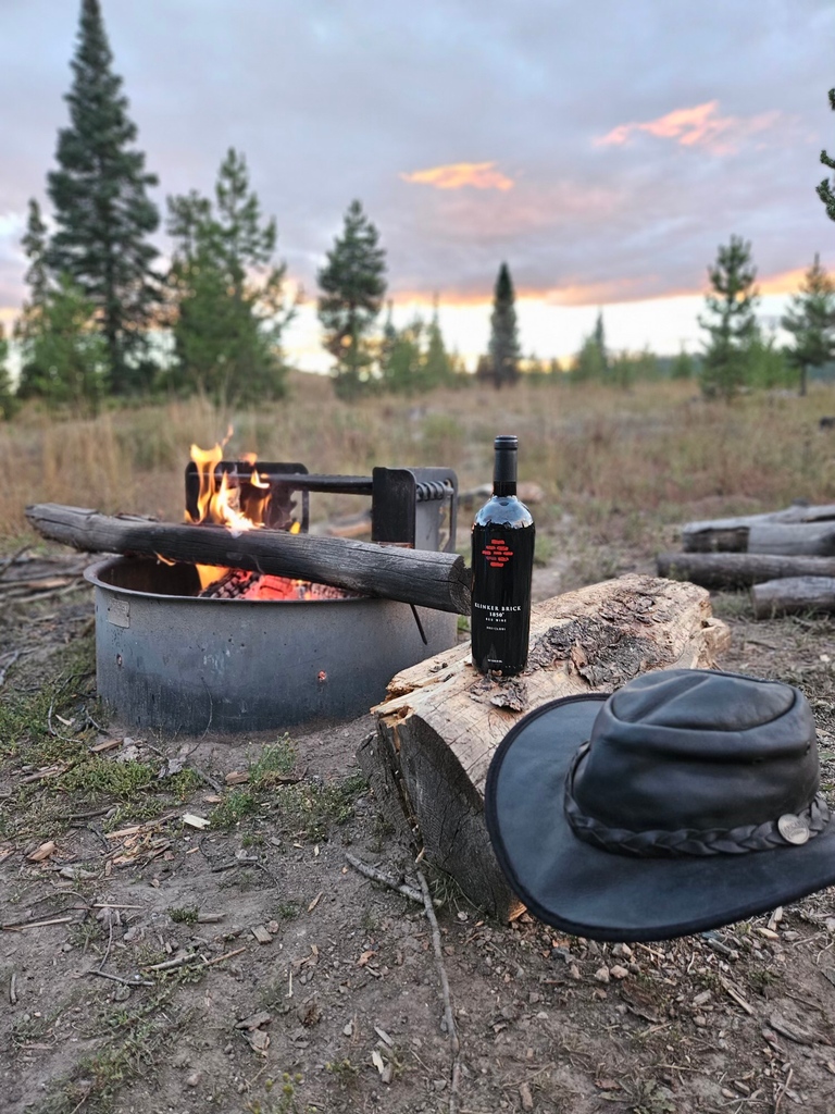 Spy our award-winning 1850° Red Blend, sitting pretty in the great outdoors! This Cabernet Sauvignon, Petite Sirah, and Zinfandel blend exudes aromas of tobacco, licorice, and spices that’ll impress with every sip. 🤠🔥 #LodiWine #RedBlend #KlinkerBrickWinery