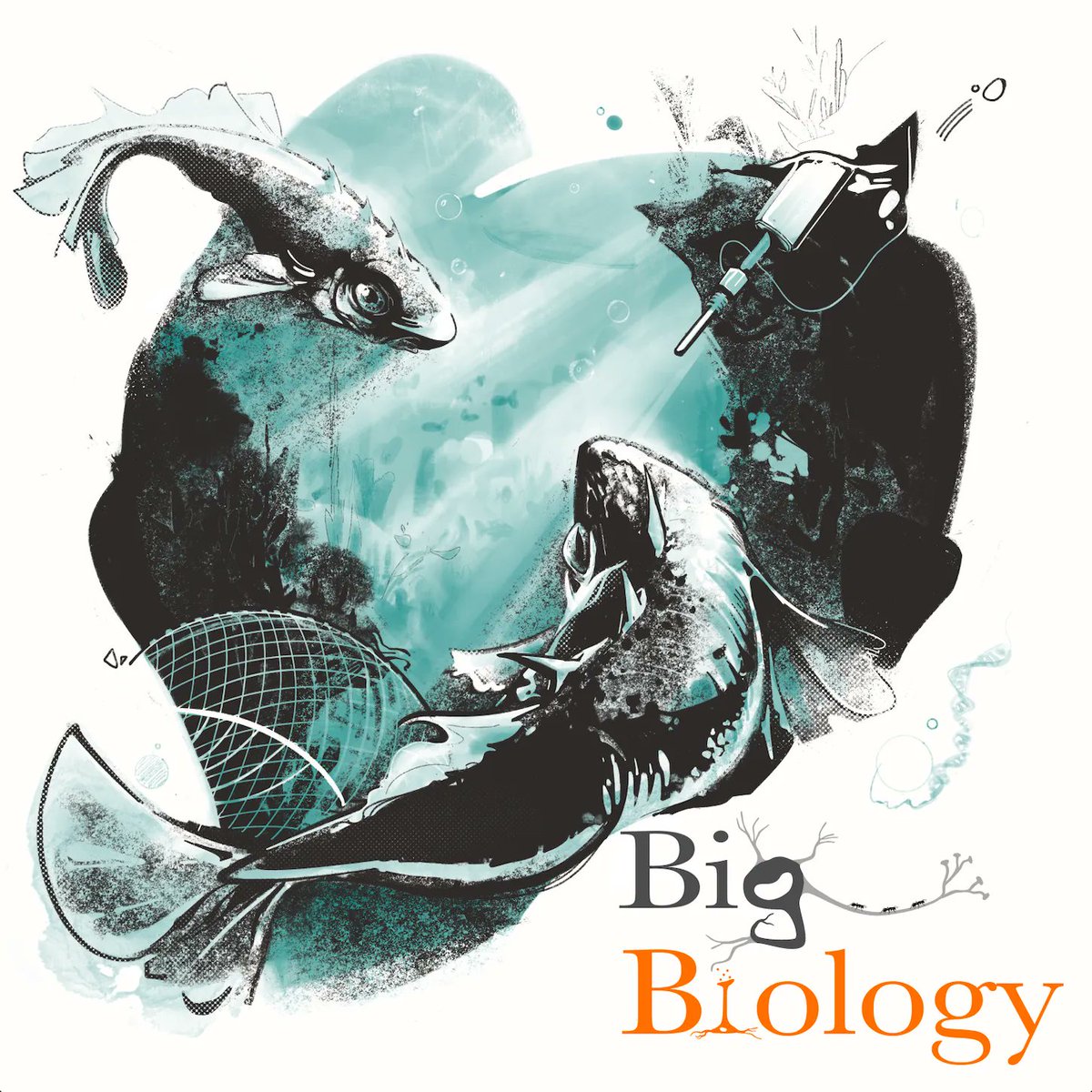 Episode 106 is live! "Long-term experimental evolution in the wild" buff.ly/45Z4o8d 

Join us as we talk sticklebacks with Katie Peichel and Andrew Hendry <a href="/ecoevoevoeco/">Andrew Hendry</a> in the first of a series of episodes on this group's research!

PC: <a href="/KorionArt/">Keating S</a>