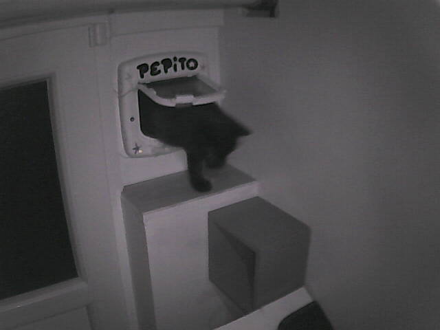Pépito is back home (21:06:49)