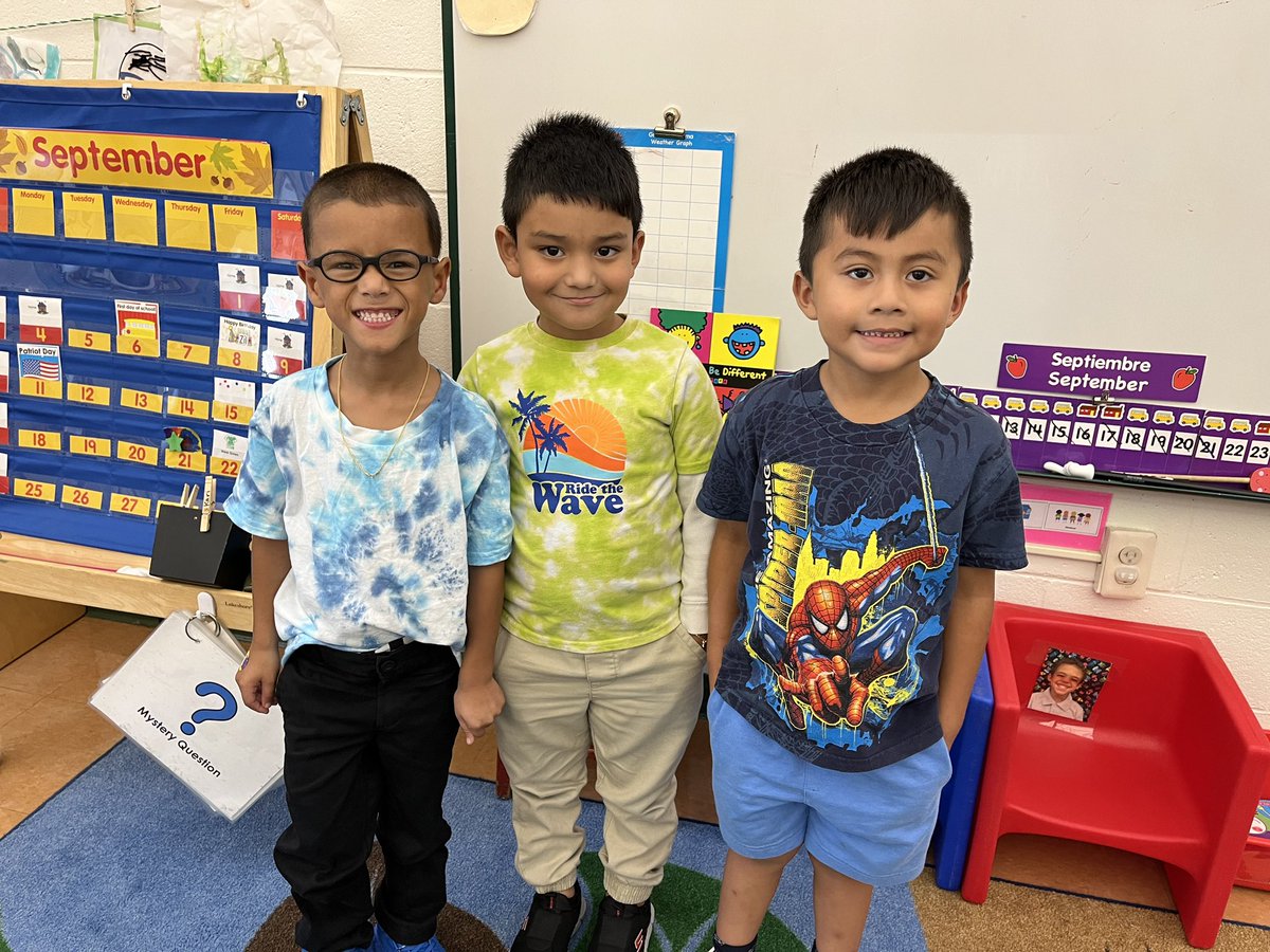 lauren toffel tweet media