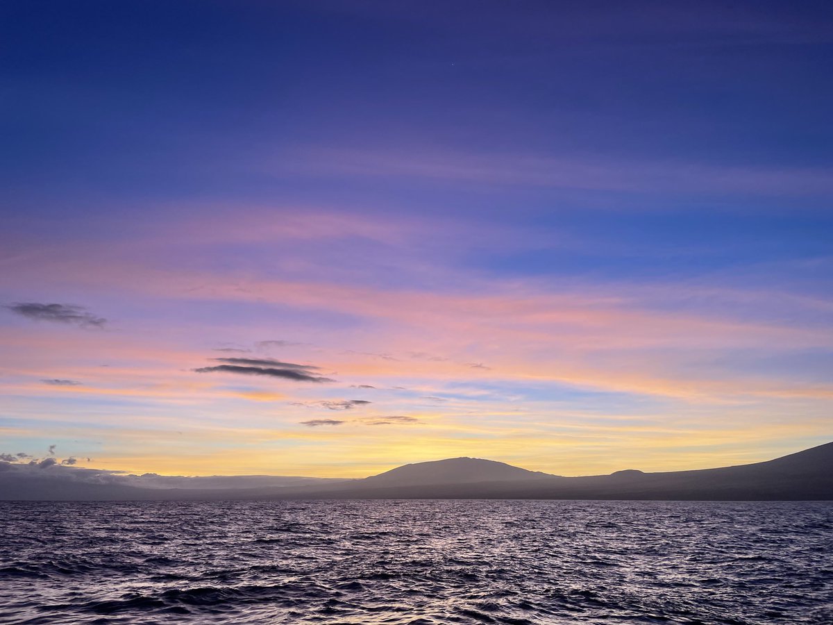 Christina Ravelo tweet media