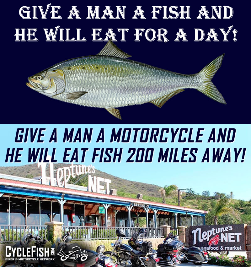 Truth!

CycleFish.com

#motorcycle #motorcycleride