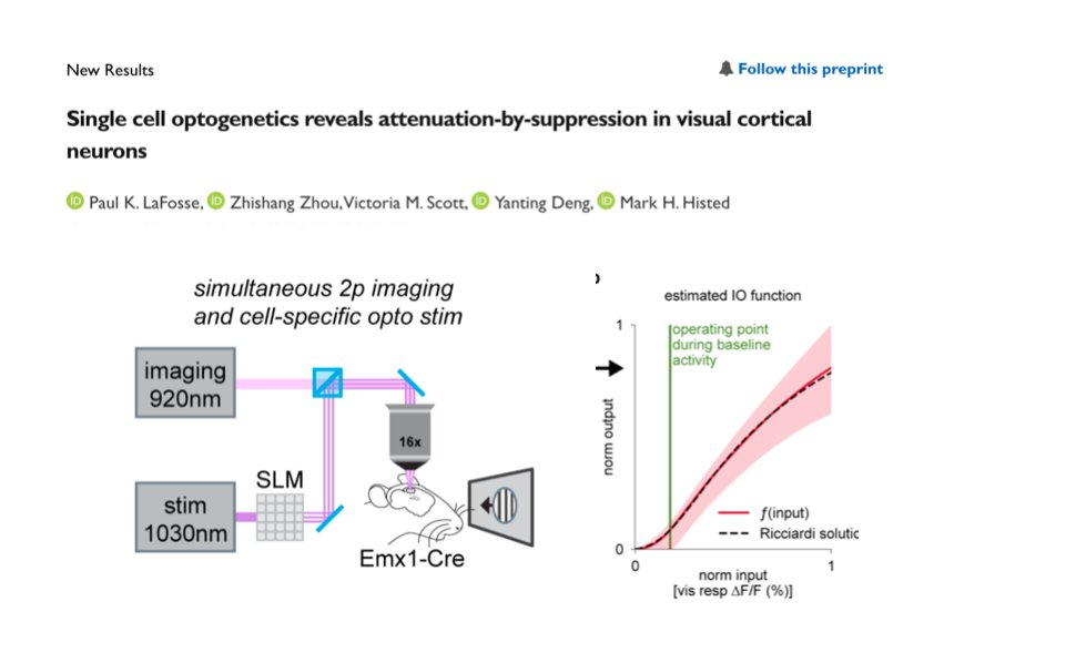 Mark Histed-🧠 Lab (@histedlab) on Twitter photo Sharing new preprint from our lab: <a href="/biorxiv_neursci/">bioRxiv Neuroscience</a>.
Led by <a href="/pklafosse/">Paul LaFosse</a>, we show neurons in the awake🧠can filter out inputs: attenuation-by-suppression.
Also: real neurons’ activation function share features w/ #ai systems (eg ChatGPT). #neuroscience
Comments welcome!
1/15 Sharing new preprint from our lab: <a href="/biorxiv_neursci/">bioRxiv Neuroscience</a>.
Led by <a href="/pklafosse/">Paul LaFosse</a>, we show neurons in the awake🧠can filter out inputs: attenuation-by-suppression.
Also: real neurons’ activation function share features w/ #ai systems (eg ChatGPT). #neuroscience
Comments welcome!
1/15