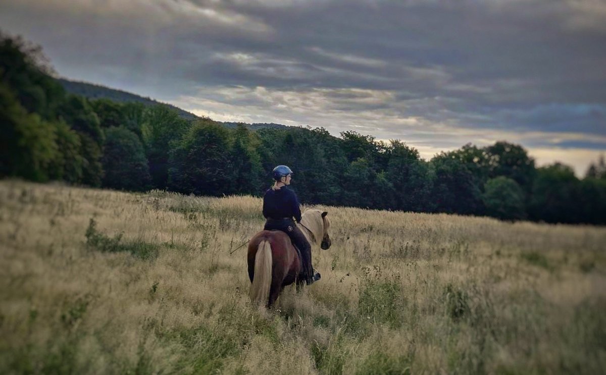 Immer wieder spannend. Ich reagiere recht schnell auf die Allergieträger (auch den hyperaktiven Labrador, der gerade um meine Beine wuselt), aber es reichen tatsächlich 5 Minuten mit der "Herde" und schon fällt jeder Stress ab.