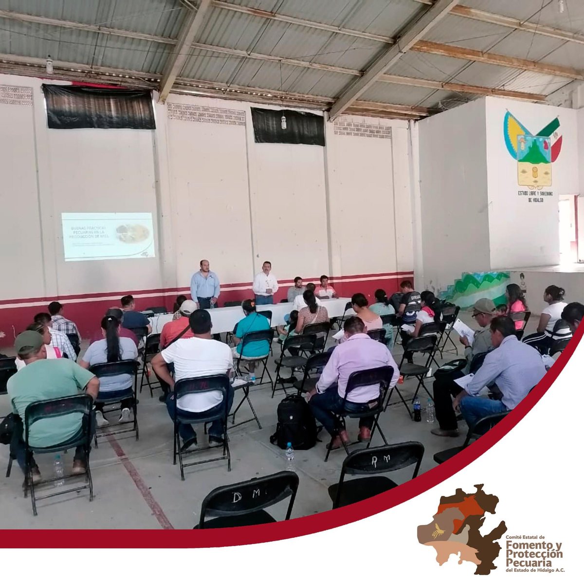 cefpphidalgo's tweet image. El M.V.Z. Alejandro Olvera, Coordinador de Inocuidad Pecuaria de este Comité, capacitó a apicultores del municipio de Huehuetla con el objetivo de brindar a los productores los conocimientos para la producción de alimentos sanos, (inocuos) que no causen daño a los consumidores.