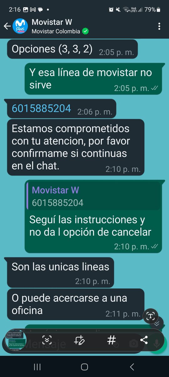 Alba Pinto tweet media