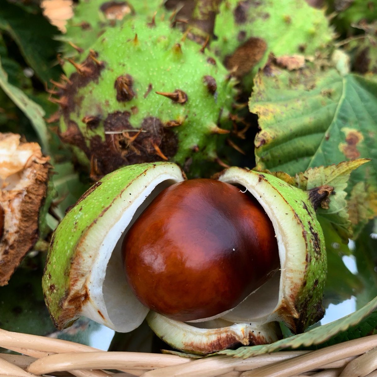 Cosy Direct tweet media