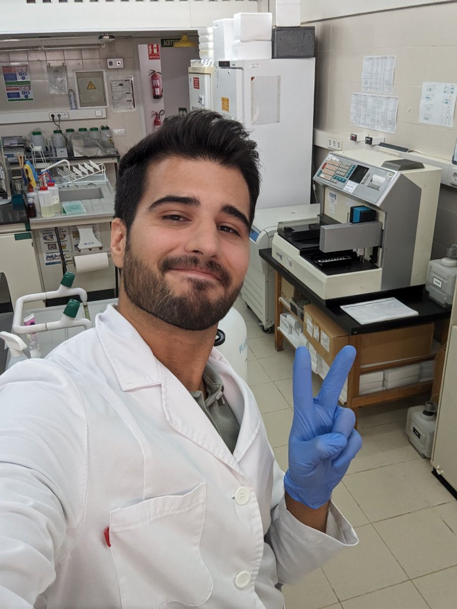 27 años. Grado+máster+doctorado en Biomedicina. En paro, vivo de alquiler. Con ansiedad y épocas depresivas. 0 tiendas pero tengo 2 perritos que gastan más que yo pero son mi felicidad. Mi objetivo es que se valore algún día el trabajo de lxs investigadorxs en Españita algún día.