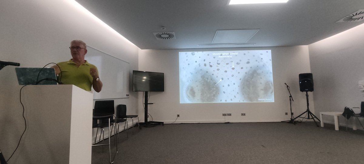 Amazing talks and roundtable from <a href="/MoitaLab/">Moita Lab</a> Marta Moita and Gilles Laurent at the 9th ESCBC! What a pleasure to have these keynote speakers 😍🪰🐙🦎🐦🐁