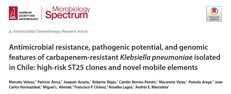 (1/2)🧵 Our paper regarding carbapenem-resistant K. pneumoniae isolates from Chile came out in <a href="/ASMicrobiology/">ASM</a>! This study highlights the importance of genomic analysis to improve the surveillance of CR-Kp in Chile and South America. #Genomics #Microbiology #AMR 🧬💊💻