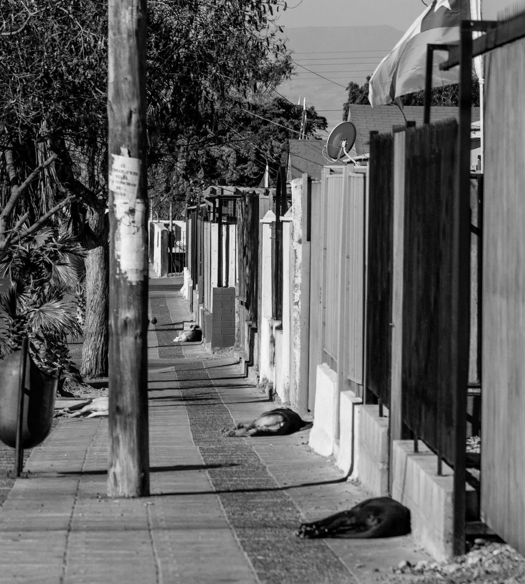 Recuerdo post dieciocho en #Caldera

📷 <a href="/Dani_Trabucco/">Dani Trabucco</a> 
Región de #Atacama 
#NortedeChile