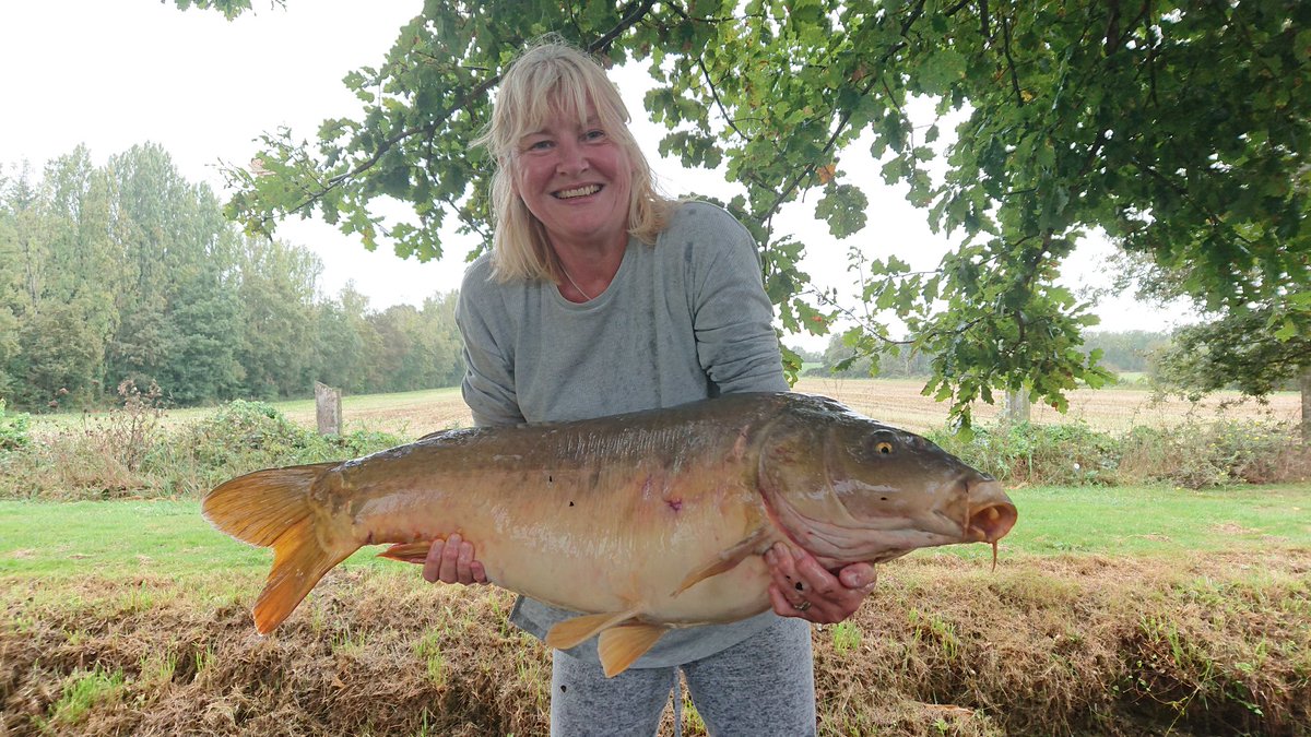 Peter Atkins tweet media