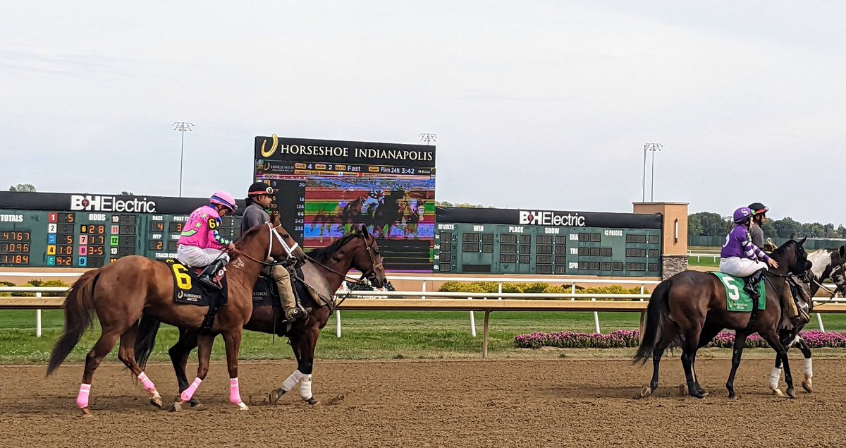 Sea Warrior Stables tweet media