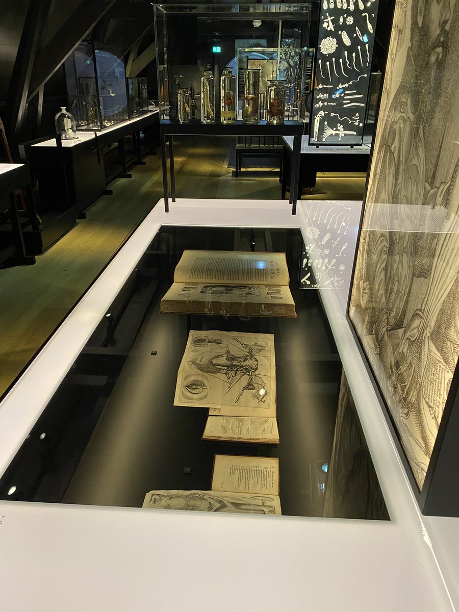 Stephanie tweet media