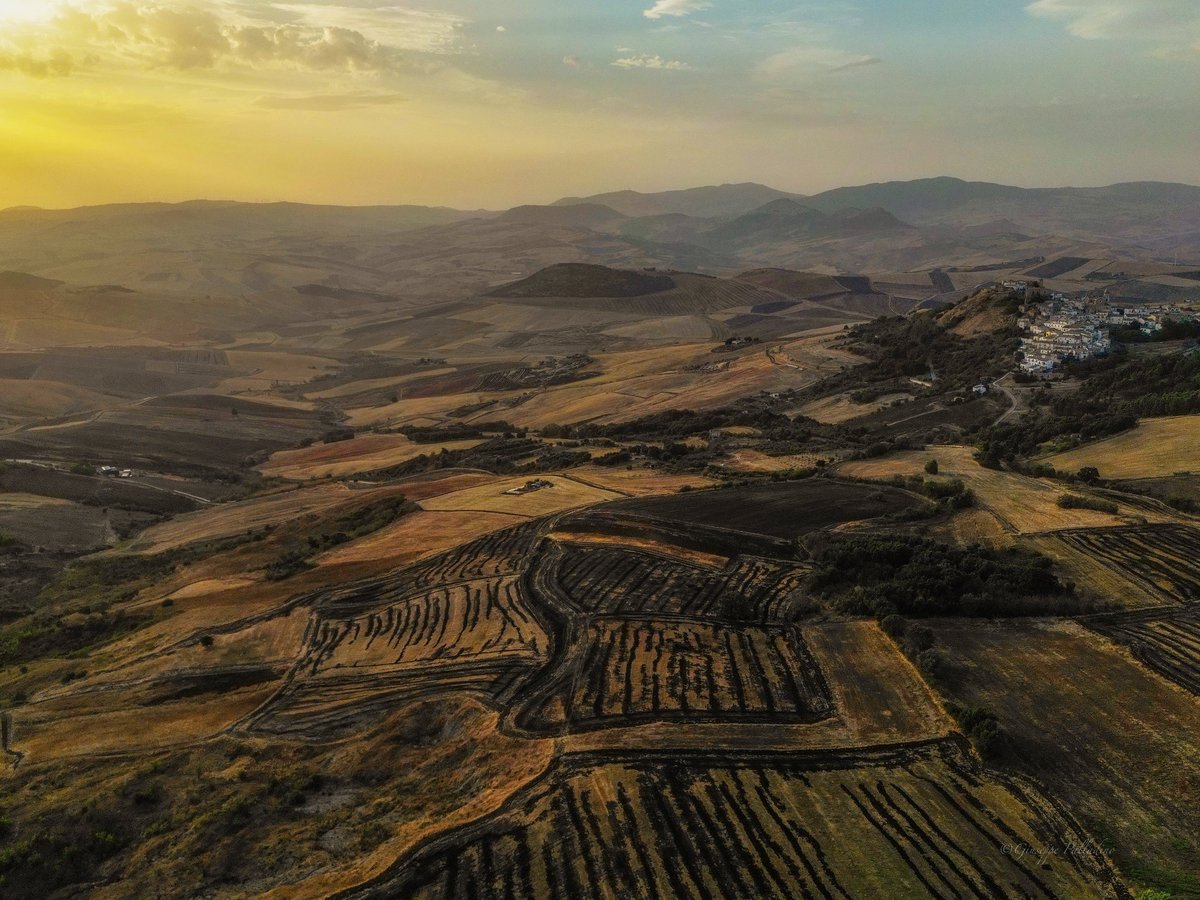 Essenza d'autunno 

#gius01pal #giuseppepalladino #puglia #regionepuglia #rocchettasantantonio  #volgopuglia #volgofoggia #volgoitalia #piupuglia #weareinpuglia #trawellit  #garganoedaunia #puglia #21settembre  #september   #naturephotography  #wildlifephotography