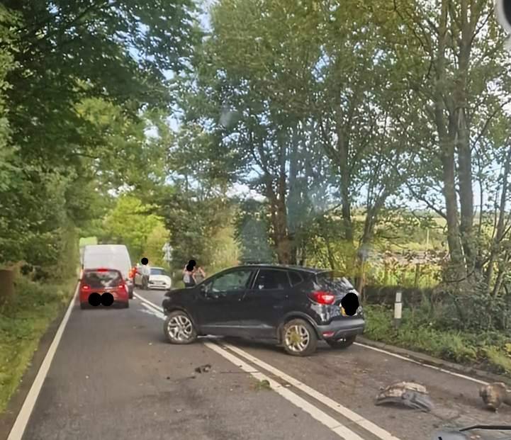 PSOSDogs's tweet image. If you steal a car, crash it &amp;amp; "give it legs" across fields you have to expect #PDScout to come along &amp;amp; hunt you. Wisely 1 eventually gave up after a chase &amp;amp; the second was later spotted by the eagle eyed #S313 (aka the lead holder). 2 in custody!

#WereHereToSupport
#PawsomeJob