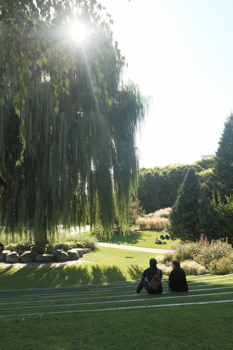 I love going on walks just for the sake of taking photos.