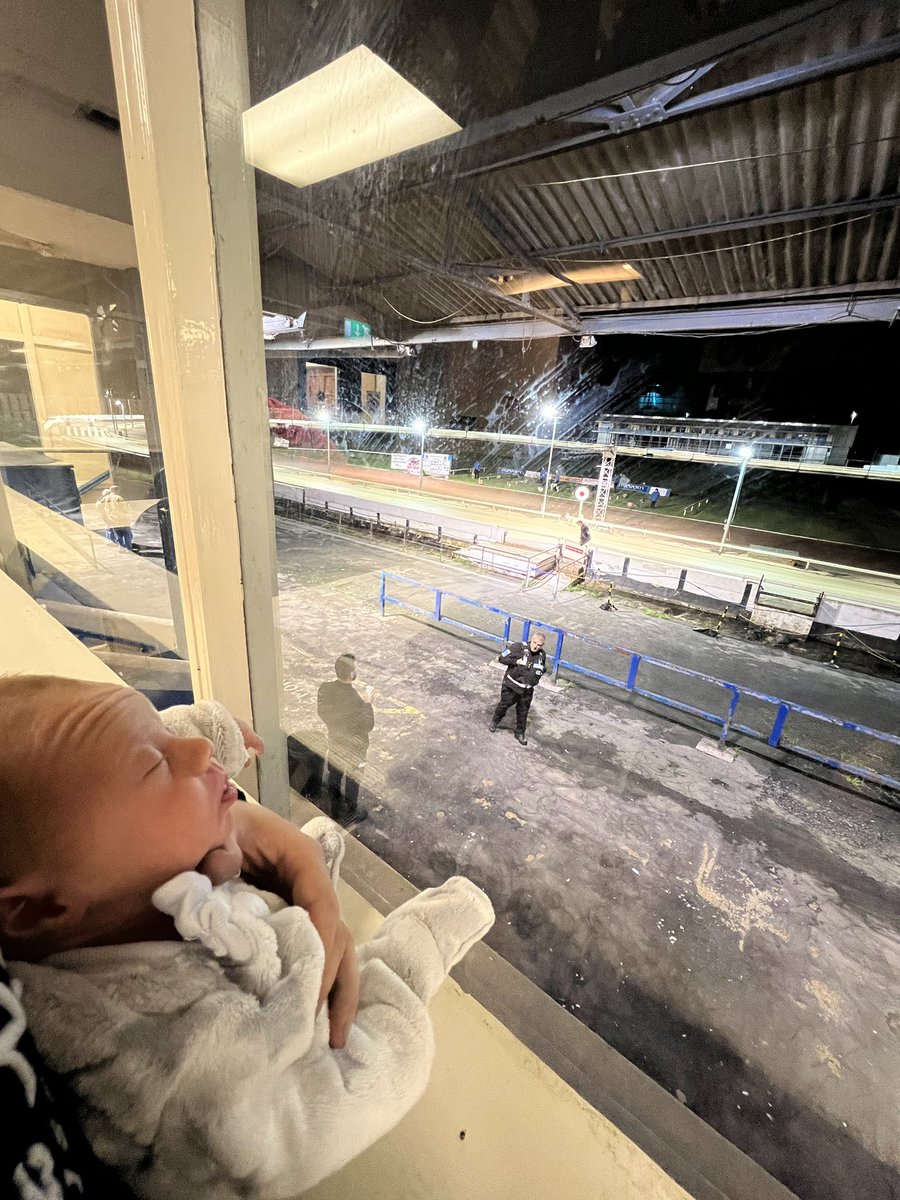 2 weeks old today and Oscar had to make a visit to watch leela run and for the produce stakes final