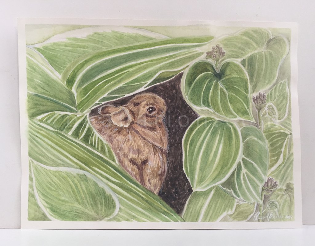 beauation's tweet photo. Shop original paintings on my Ko-fi shop - use discount code FALLSALE and save 20%
https://t.co/wYYSCAUor9
#watercolorpainting #traditionalart #ottawaartist #canadianartist #beauation https://t.co/UnT47MXDeU