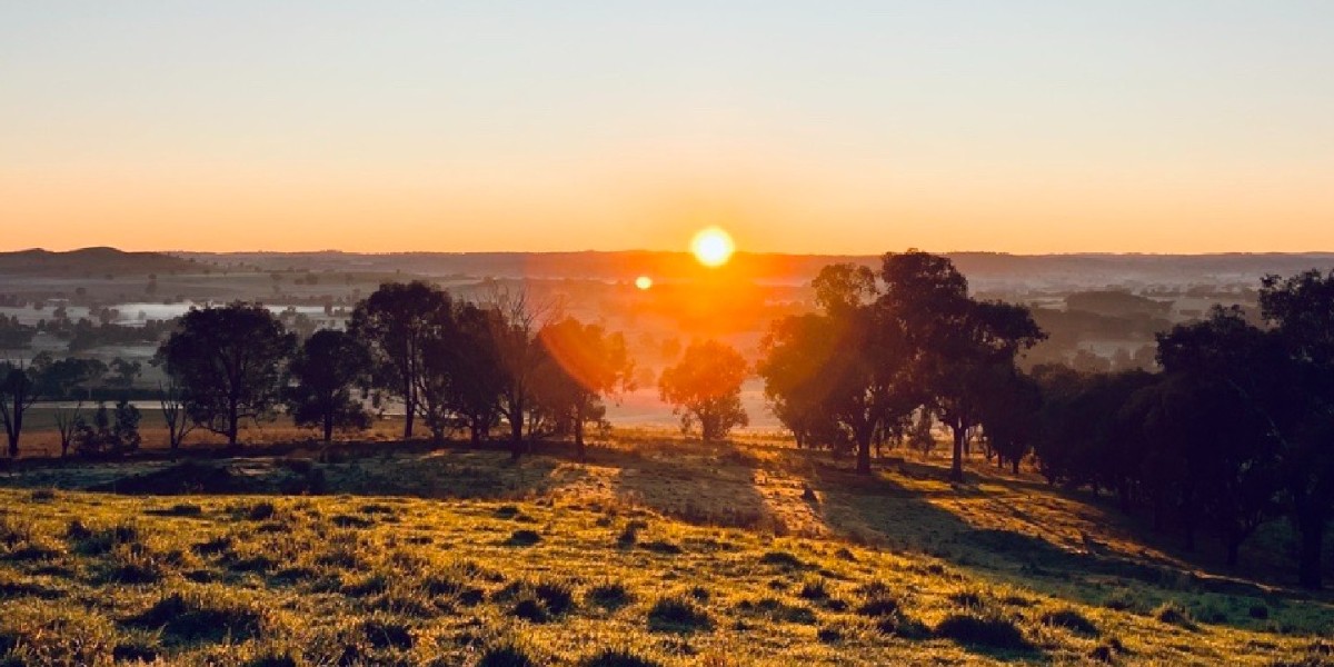 A stunning Cowra sunrise is exactly what you'll see if you book a ticket to the Cowra Agricultural Research &amp; Advisory Station Sunrise Walk &amp; History Talk as part of our open day on Thurs 28 Sep.
Book FREE ticket at brnw.ch/21wCOMC