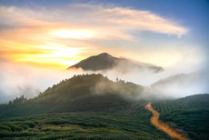 wlc825's tweet photo. The beauty created within man and nature is quite different from nature's https://t.co/QpkkQQnpmK
