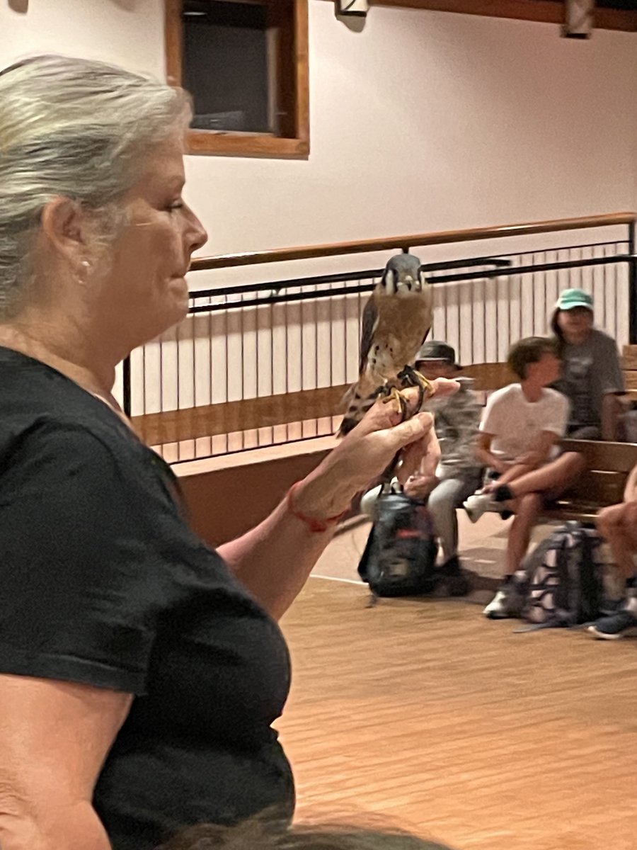 JenCalendrillo's tweet image. “Snakeman” and “Birdman” never disappoint! ⁦@EsakMrs⁩ ⁦@mrfranchini⁩ ⁦@SrLambertEMS⁩ ⁦@EmsTeam2⁩ ⁦@mdeblocker⁩ ⁦@mrskgraziano⁩ ⁦@mstrippoli70⁩