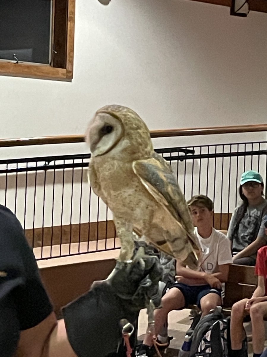 JenCalendrillo's tweet image. “Snakeman” and “Birdman” never disappoint! ⁦@EsakMrs⁩ ⁦@mrfranchini⁩ ⁦@SrLambertEMS⁩ ⁦@EmsTeam2⁩ ⁦@mdeblocker⁩ ⁦@mrskgraziano⁩ ⁦@mstrippoli70⁩