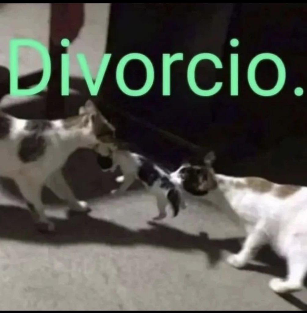 shitpostverdade's tweet photo. https://t.co/PXvNfdmDia