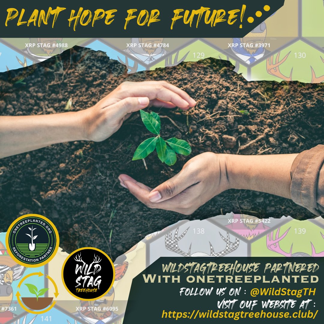 Collect NFTs while making a difference!🦌
nft.onxrp.com/collection/wil…
For every NFT minted,we'll plant FOUR trees!Join us in preserving nature's beauty and making a positive impact on the environment 🌲🦌.
Follow : twitter.com/onetreeplanted…
#NFTforGood #PlantATree #TogetherForNature