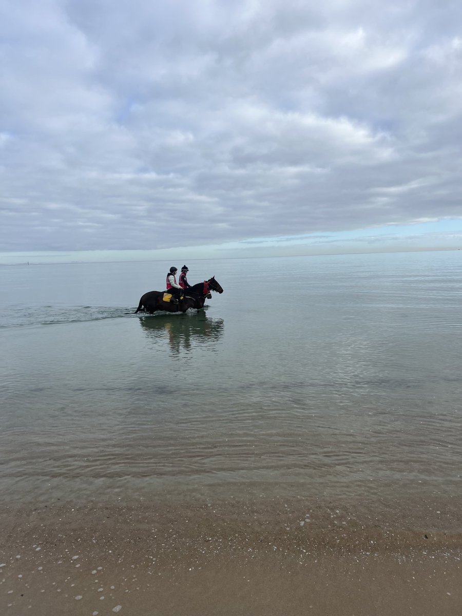 PG Carey Racing (@pgcareyracing) on Twitter photo 