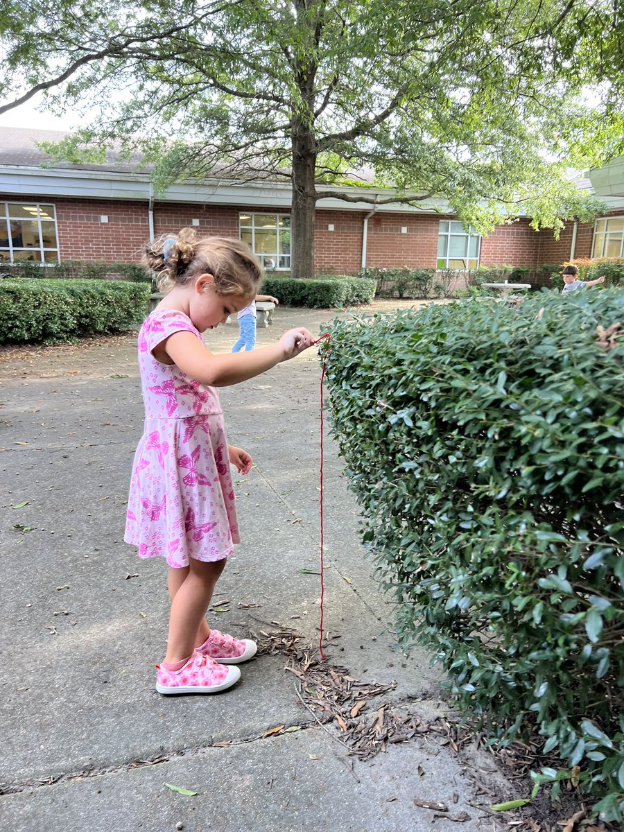 Mary Dodson tweet media