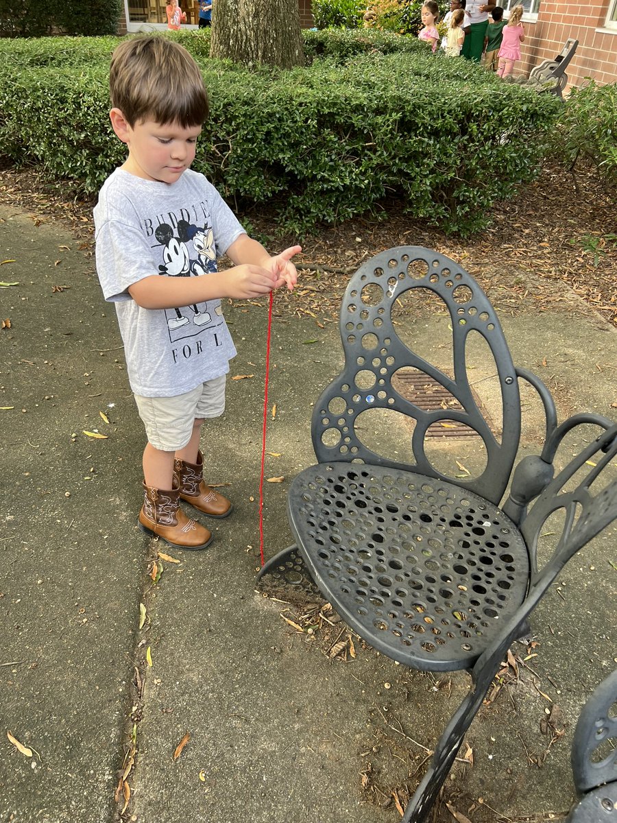 Mary Dodson tweet media