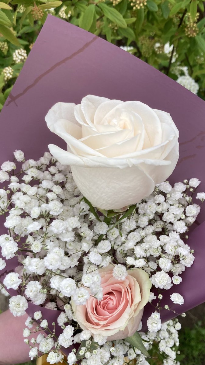 aldana (@alddana_0) on Twitter photo 