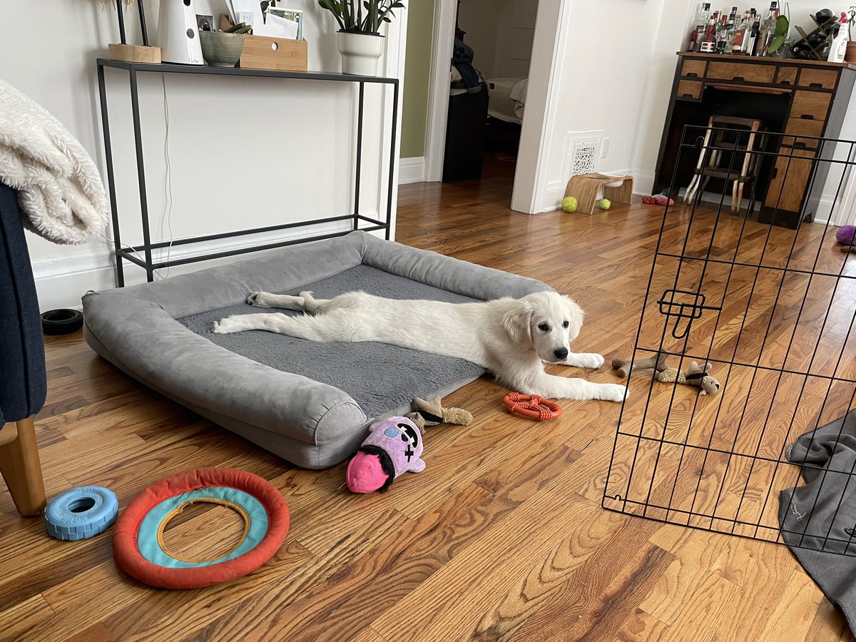 Jesse Aaron Paul ☀ tweet media